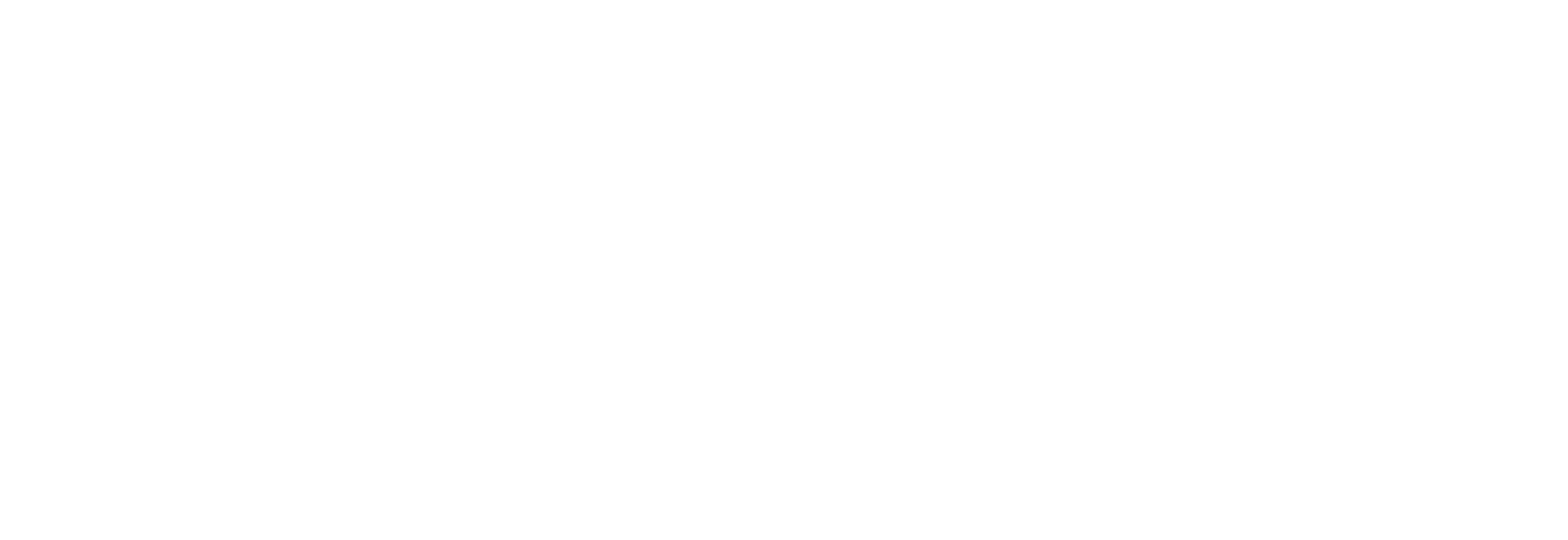 Patrimonium Immobilière