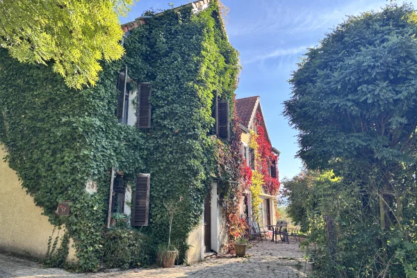 Sur les hauteurs de Cruchten, ample bâtisse du début XIXème et son jardin arboré de 11ares. - Image 9