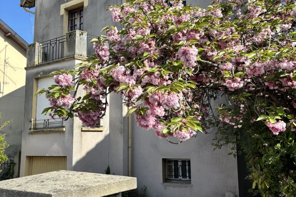 Maison de ville indépendante des années 30 à rénover et son parc de +/- 18 ares.